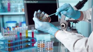 Microbiological Services - Basic microbiology